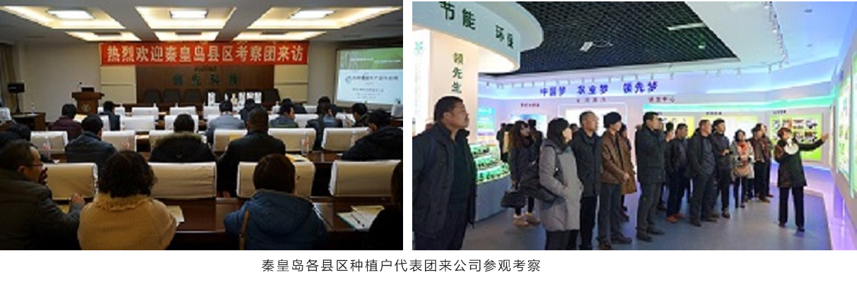 秦皇岛市农业局向导及县区莳植户代表团来公司旅行考察 秦皇岛市农业局向导及县区莳植户代表团来公司旅行考察