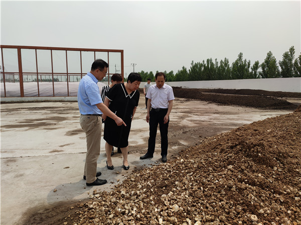 农业农村部微生物肥料和食用菌菌种质量监视磨练测试中心李俊主任、姜昕主任来ag庄闲公司调研、指导事情 农业农村部微生物肥料和食用菌菌种质量监视磨练测试中心李俊主任、姜昕主任来ag庄闲公司调研、指导事情