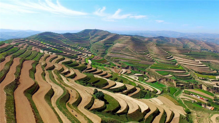 agׯ������������ص��з����롰������ԭ������ˮ�����������������ģʽ��Ӧ�á���Ŀ����