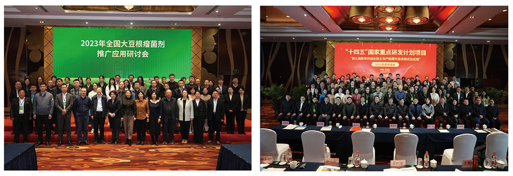 agׯ�������ƽ���������Ӧ�������󶹲�������