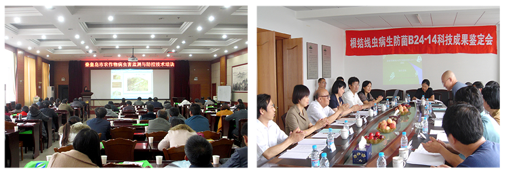 agׯ����������������ǽ���ƹϸ����߳�����