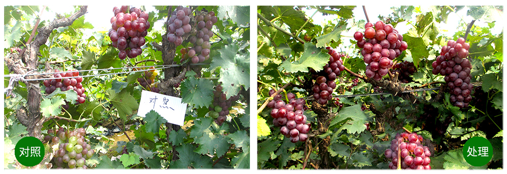 �¼�������Ԫ��ˮ�ܷ�Ӧ�ð���