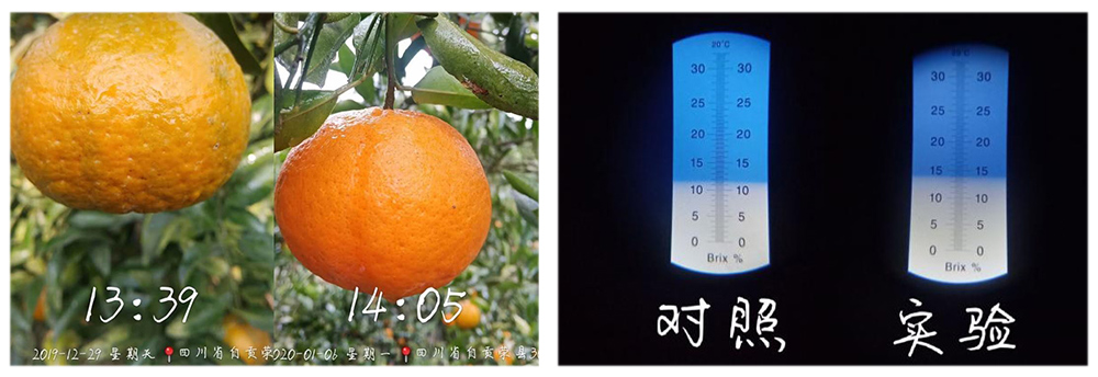 �¼�������Ԫ��ˮ�ܷ�Ӧ�ð���